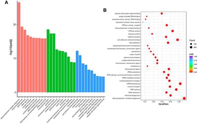 The Role of RNA-Binding Protein HuR in Lung Cancer by RNA Sequencing Analysis